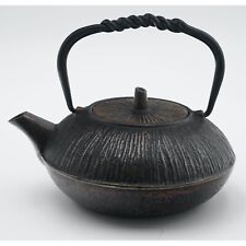 Japanese Traditional Cast Iron Teapot with Mesh Infuser 和鑄物の逸品 picture
