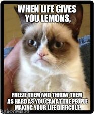 Funny Humor Grumpy Cat When Life Refrigerator Magnet   picture