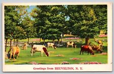 Postcard Greetings from Heuvelton New York Cows Grazing picture