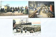 Antique 1907,  3 African American New Orleans LA Cotton On The Docks Postcards picture