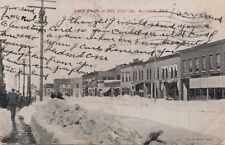 Postcard Snow Storm Oct 21 1906 Alliance Nebraska NE picture