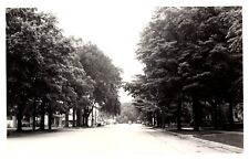 postcard Real Photo of tree-lined street with old cars on it 9972 picture