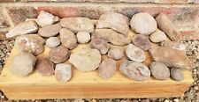 Lot of Unopened Fossil Nodules Concretions, 2 lbs. 13 oz, Unknown Locale, Estate picture