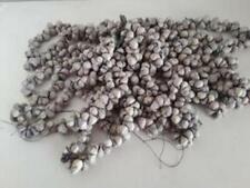 Big Bundle of Puka shells picture