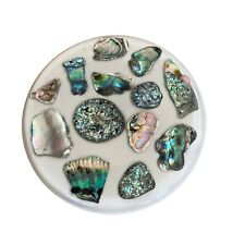 Vtg 60s Abalone Seashells Shells Lucite Resin Trivet Hot Plate 5.5