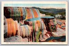 Postcard Mammoth Hot Springs Terraces Yellowstone Park Wyoming USA North America picture