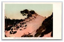 Pacific Grove Sand Dunes Monterey California CA UNP UDB Postcard M17 picture