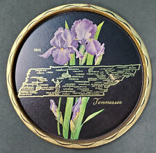Vintage Metal Tennessee State Souvenir Advertising Serving Tray 11