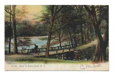 Scene in Bronx Park, New York NY - Vintage Postcard picture