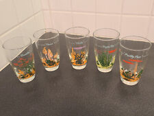 5 Vintage Blakely Oil & Gas Arizona Cactus Clear Glass Tumblers 5 1/4” MCM 50s picture