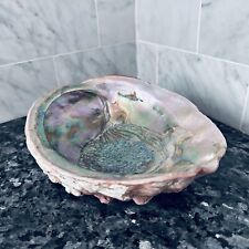 Mid Century Natural Abalone Sea Shell Trinket Dish Bowl Vintage Decorative Bowl picture