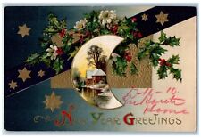 1910 New Year Greetings Holly Berries House Winsch Back Pittsburg PA Postcard picture