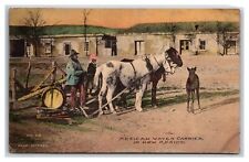 Postcard New Mexico Mexican Water Carrier Hand colored Fred Harvey Posted picture