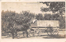 J29/ Palisade Colorado RPPC Postcard c1910 Haul Peaches Wagon Occupational 272 picture