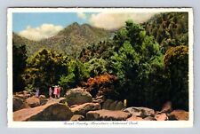 Great Smoky Mountains National Park, The Chimney Tops, Antique, Vintage Postcard picture