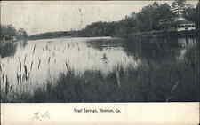 Newman Georgia GA Pearl Springs c1910 Vintage Postcard picture