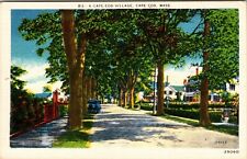 Vintage Postcard A Cape Cod Village Cape Cod Mass. Massachusetts  picture