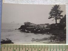 Postcard Chamberlain Maine USA picture