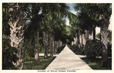 Postcard FL Florida Avenue of Royal Palms White Border Vintage Old PC f685 picture