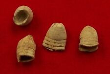 4 DUG SHOT .69 CAL CIVIL WAR BULLETS Recovered South OF DC relic picture