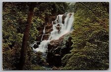United Kingdom Scenic Natural Landmark Waterfall Foliage DB UNP Postcard picture