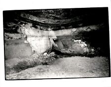 LD324 1972 Orig Roger Nystrom Photo SEVEN OAKS OVAL PARK CAVE EXPLORATION MPLS picture