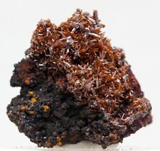 VANADINITE VAR. ENDLICHITE Crystal Cluster Mineral Specimen MEXICO picture
