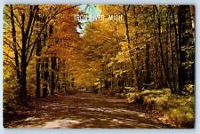 Iron River Michigan MI Postcard Golden Sunlite Shadows Country Road Trees c1960 picture