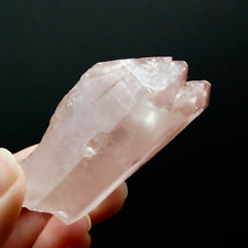 2.8in 125g Rare Unique ET Dolphin Pink Lithium Lemurian Quartz Crystal Starbrary picture