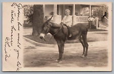 RPPC AZO 1904-1908 Boy on Donkey Front Porch of Home Parents A21 picture