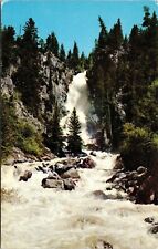 Fish Creek Falls Routt National Forest Steamboat Springs CO Chrome Postcard picture