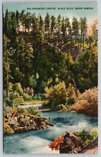 Postcard Spearfish Canyon Black Hills South Dakota picture