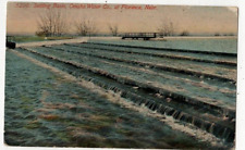 1916 Florence,NE Settling Basins,Omaha Water Company Douglas County Nebraska picture