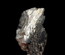 ARSENOPYRITE big lustrous crystals --- PORTUGAL Panasqueira Mine /pf510 picture