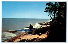 c1960 Greetings Coast Beach Trees Sea Waves Pound Wisconsin WI Vintage Postcard picture