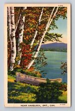 Havelock Ontario- Canada, Scenic Doc With Row Boat, Antique, Vintage Postcard picture