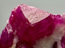 204 Carat Well Terminated Top Red Ruby Crystals On Matrix From @Afg picture