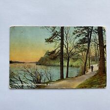 Lake Path Lakewood New Jersey Postcard Posted 1909 VTG UDB Cute Note picture