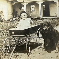 Antique Cabinet Card Photograph Adorable Little Boy In Wagon Next To Smiling Dog picture
