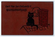 1908 Lonely Black Cat Chimney Can't You See I'm Lonely Kampton IL Postcard picture