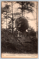 c1910s Foret De Fontainbleau Antique Postcard picture
