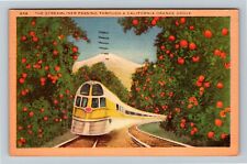 CA-California, Streamliner Passing Through Orange Grove, Vintage Postcard picture