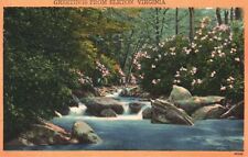 Vintage Postcard 1956 Greetings From Elkton Virginia River Along Forest Trees picture