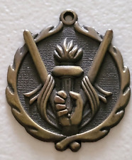 2002 Young Patriots Hawaii National Guard Family Program medallion. Bronze (?) picture