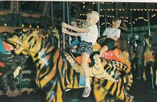 VINTAGE POSTCARD , MERRY GO ROUND - TIGER - KID- KENNYWOOD PARK, PITTSBURGH, PA. picture