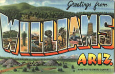 Greetings From Williams,AZ Coconino County Large Letter Arizona J.R. Willis picture