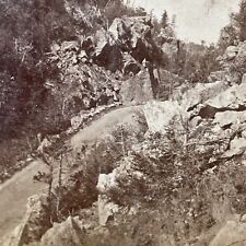 Antique 1870s Crawford Notch Horse & Buggy Road NH Stereoview Photo Card V1996 picture
