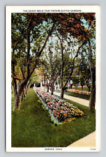 Postcard Shady Walk Elitch Gardens Denver Colorado CO, Vintage G18 picture