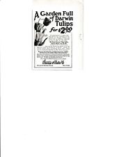 Stumpp & Walter Co Print Ad 1924 Giant Darwin Tulip Bulbs New York N Y picture