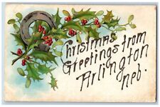 Arlington Nebraska NE Postcard Christmas Greetings Embossed Berries c1910's picture